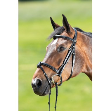 Bridon Anatomique pour chevaux