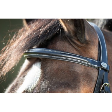 Bridon Anatomique pour chevaux