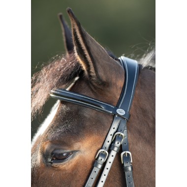 Bridon Anatomique pour chevaux
