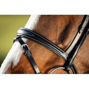 BRIDON HFI ELEGANT