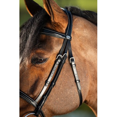 BRIDON HFI ELEGANT