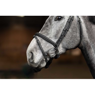 Bridon anatomique en cuir – Muserolle combinée convertible et rênes caoutchouc