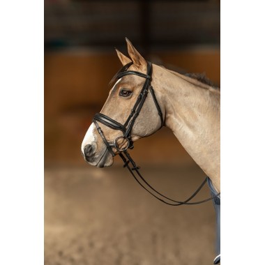 Bridon anatomique Pull-Back – Cuir souple, muserolle anatomique et rênes Hunter
