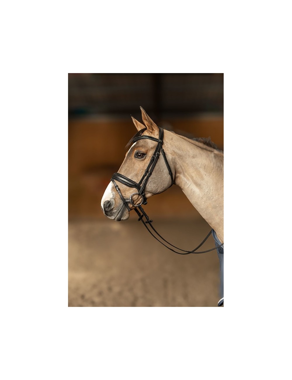 Bridon anatomique Pull-Back – Cuir souple, muserolle anatomique et rênes Hunter