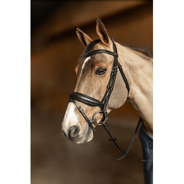 Bridon anatomique Pull-Back – Cuir souple, muserolle anatomique et rênes Hunter
