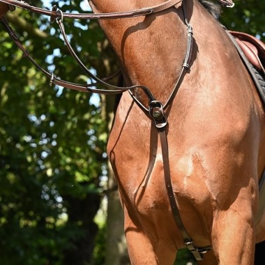 Martingale à anneaux Jump'In Collection One – Martingale en cuir pour cheval