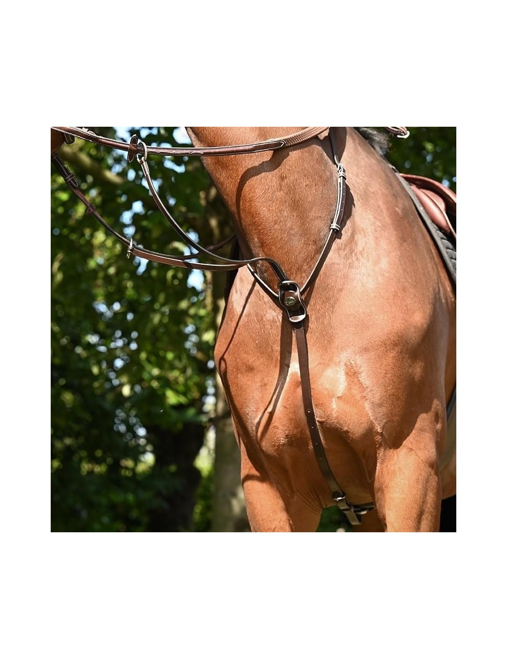 Martingale à anneaux Jump'In Collection One – Martingale en cuir pour cheval