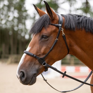 Bridon Bitless Jump'In ORIGIN – Bridon sans mors en cuir italien premium