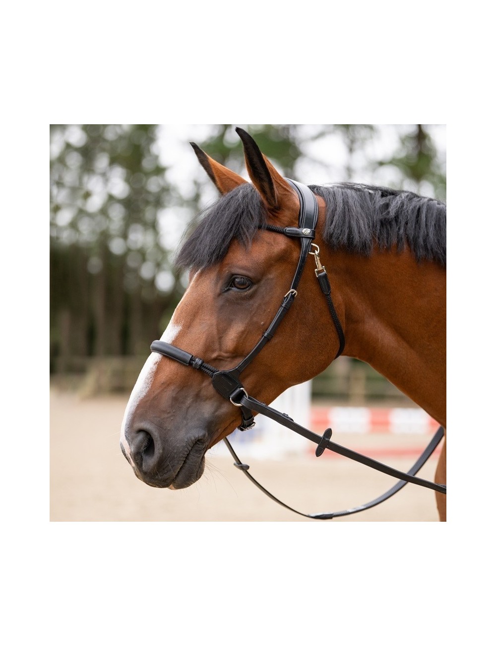 Bridon Bitless Jump'In ORIGIN – Bridon sans mors en cuir italien premium