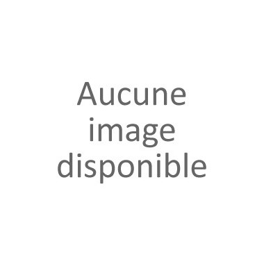 GASTROMIX ESC 1 KG